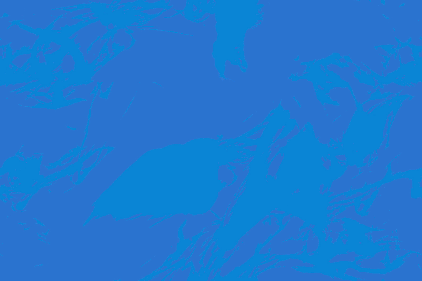 フレッシュ＆ブラッド 霧隠の秘境 ブリッツデッキ ヨドバシ.com - レジェンドストーリースタジオ Legend Story