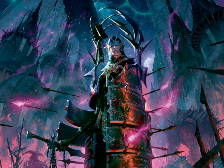 【引退品】Flesh and Blood Vynnsetデッキ＆サプライ等々 Vynnset - Flesh and Blood TCG