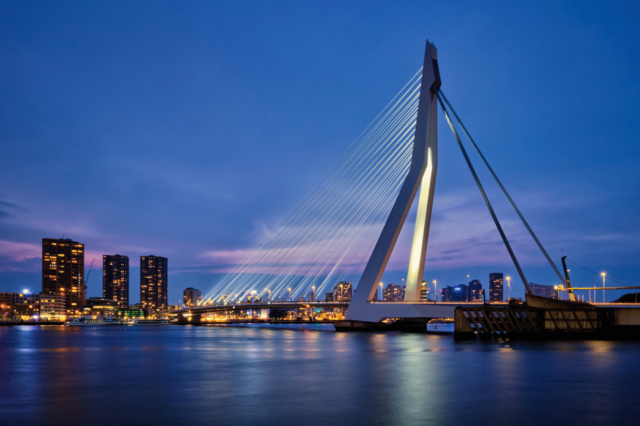 Calling: Rotterdam 
