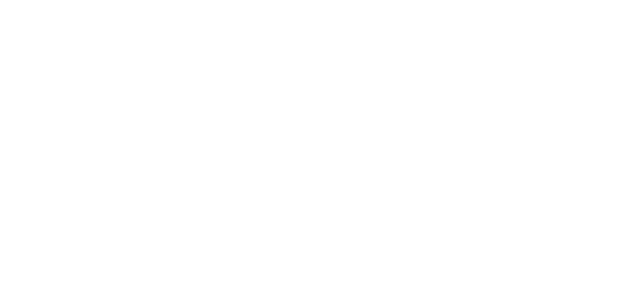 skirmish logo white